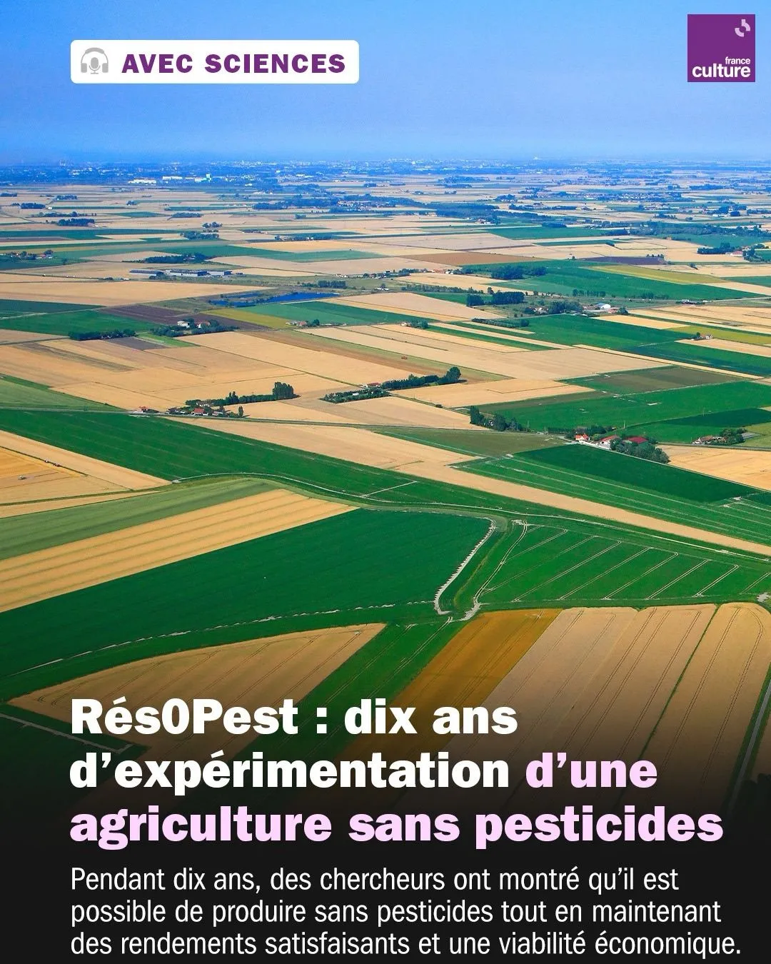 Illustration du post LinkedIn : L'agriculture sans pesticides
