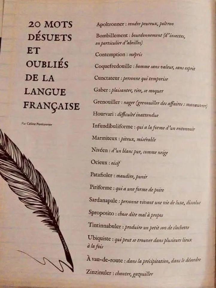 Illustration du post LinkedIn : ✅ "sproposito" un mot oublié de la langue française ?