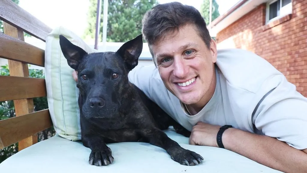 Illustration du post LinkedIn : 🧐 Il a développé un vaccin contre le cancer de son chien avec ChatGPT